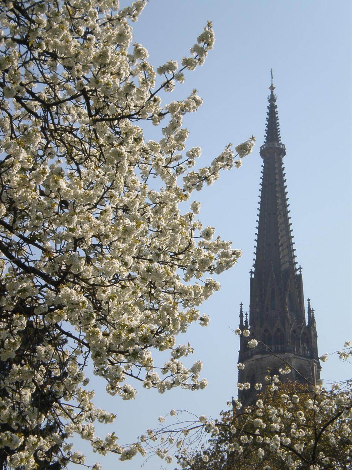 Dom Hotel Линц Екстериор снимка